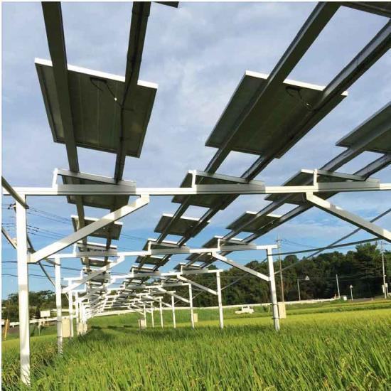 Système de montage de serres agricoles solaires de ferme d'énergie solaire cadre de support de montage de panneau d'agriculture solaire PV pour ferme
